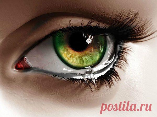 (2) Одноклассники