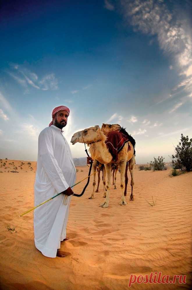 Как кочуют бедуины - Путешествуем вместе