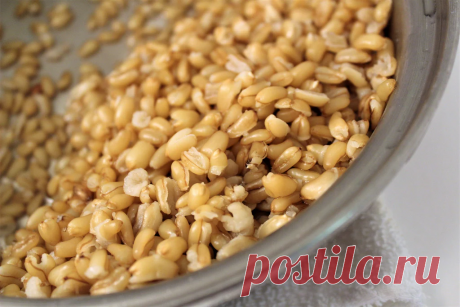Перловой крупы покупаю не один пакет, рассказываю, какую вкусноту готовлю из неё......(делюсь рецептами) | Записки огородницы | Дзен