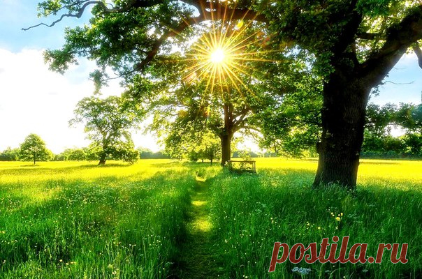 С ДОБРЫМ утром!
...Тускнеют звезды на восходе,
И оживает дивный сад.
Все просыпается в природе.
Цветочек малый солнцу рад.
Пусть озарит волшебным светом,
Проникнет лучик на кровать
И будто скажет: «С добрым утром.
Друзья мои, пора вставать!»

Автор: Мосунова Александра