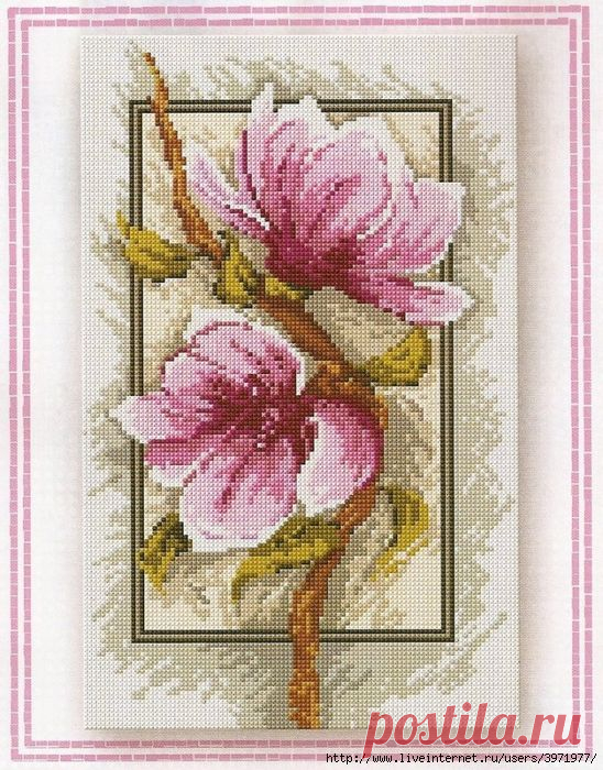 цитата valia_by : В/К. МАГНОЛИЯ (09:00 31-10-2015) [4426181/375587093] - nimfa58@mail.ru - Почта Mail.Ru