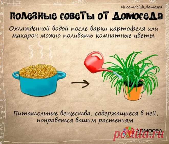 рецепты в картинках на все случаи жизни: 10 тыс изображений найдено в Яндекс.Картинках