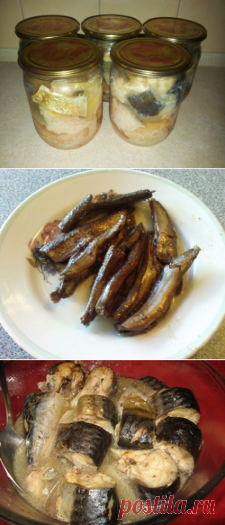 Консервирование рыбы в домашних условиях: рецепты, с овощами в масле, банках, духовке