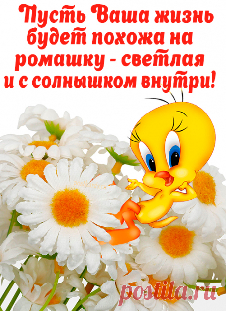 Улыбнись! Прямо сейчас улыбнись именно так, как можешь только ты!
