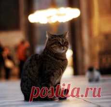 Мой Мир@Mail.Ru