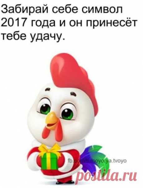 (49) Одноклассники