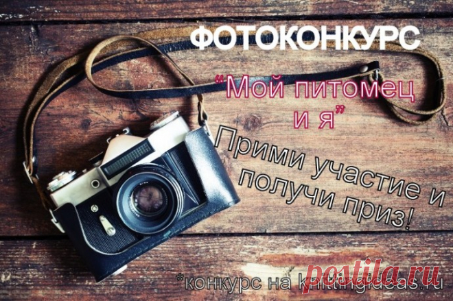 Фотоконкурс для наших любимых мастериц!