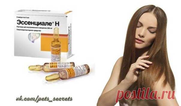 КАК СДЕЛАТЬ ВОЛОСЫ ГУСТЫМИ И КРАСИВЫМИ