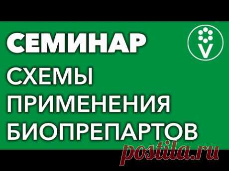 Принципы и схемы использования биопрепаратов. Бесплатная запись семинара И.А.Русских