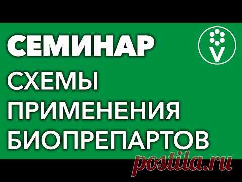 Принципы и схемы использования биопрепаратов. Бесплатная запись семинара И.А.Русских