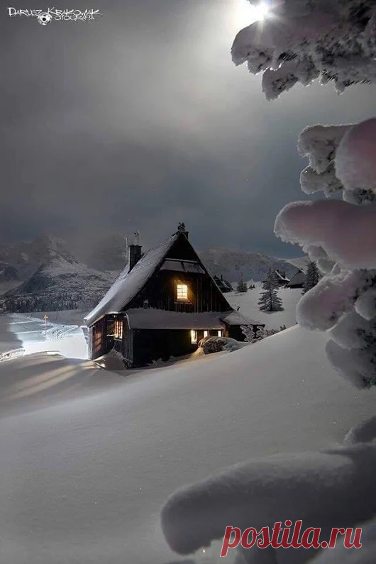Google+