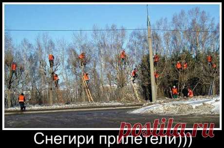 Юмор со смехом – совсем не страшно и даже где-то весело – Новости РуАН