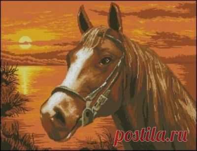 Sunset Horse Portrait » Схемы вышивки крестом, крестиком » Вышивка крестиком, бисером, гладью, лентами, журналы, золотом, изонить, шелком, крестом, схемы