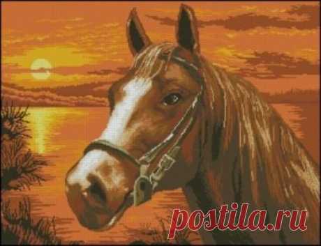 Sunset Horse Portrait » Схемы вышивки крестом, крестиком » Вышивка крестиком, бисером, гладью, лентами, журналы, золотом, изонить, шелком, крестом, схемы