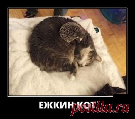 Давайте улыбнемся