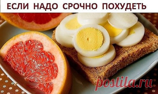 ЕСЛИ НАДО СРОЧНО ПОХУДЕТЬ.. 
Яичная диета 
Знаете ли вы, что продуманная до мелочей система питания поможет быстро похудеть на 10 кг всего лишь за 2 недели. Этот метод похудения идеален – если нужно срочно похудеть! Не используй его дольше – может быть сильная потеря веса 
На такой диете не придется голодать: яйца и правда очень сытный продукт. Ознакомься с этим меню, тебе наверняка захочется похудеть при помощи данных продуктов… 
Отказавшись от углеводов, ты сможешь быстро подкорректировать