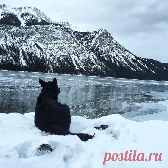 Заговор на тоску
Белый заговор, чтобы вызвать у вашего избранника тоску по вам. Читать глядя на фото, если фото нет — можно зажечь свечу и визуализировать или представлять своего возлюбленного. «Стану я, (имя) , благословясь, пойду, перекрестясь, из избы в двери, из ворот в ворота, пойду в чистое поле в подвосточную сторону, в подвосточной стороне стоит изба, среди […]
Читай дальше на сайте. Жми подробнее ➡