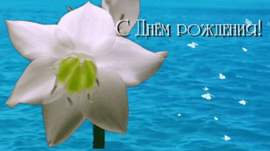 🔵 GIF гифы гифок с Днем рождения - КакЧтоГде
