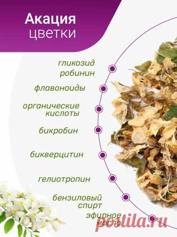 Акация цветки