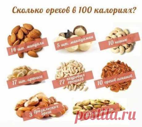 НА ЗАМЕТКУ! | Познавательный сайт ,,1000 мелочей&quot;