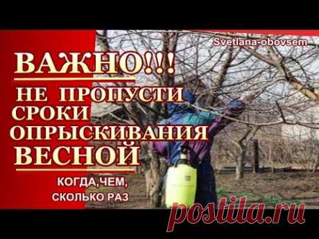 ВЕСЕННЕЕ ОПРЫСКИВАНИЕ-  КОГДА,ЧЕМ и СКОЛЬКО РАЗ..   ВАЖНО НЕ ПРОПУСТИТЬ  СРОКИ ОБРАБОТКИ.... ВЕСЕННЕЕ ОПРЫСКИВАНИЕ  КОГДА,ЧЕМ и СКОЛЬКО РАЗ   ВАЖНО НЕ ПРОПУСТИТЬ!Весна природа потихоньку оживает, но вместе с ней оживают и естественно все возможные вр...