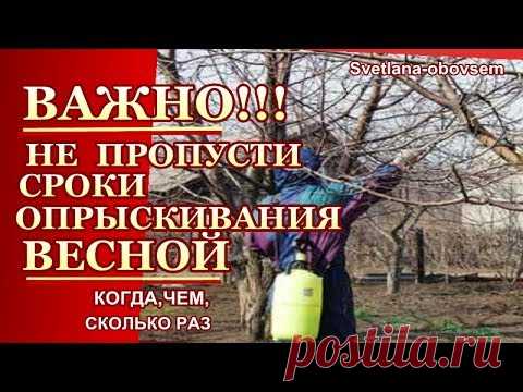 ВЕСЕННЕЕ ОПРЫСКИВАНИЕ-  КОГДА,ЧЕМ и СКОЛЬКО РАЗ..   ВАЖНО НЕ ПРОПУСТИТЬ  СРОКИ ОБРАБОТКИ.... ВЕСЕННЕЕ ОПРЫСКИВАНИЕ  КОГДА,ЧЕМ и СКОЛЬКО РАЗ   ВАЖНО НЕ ПРОПУСТИТЬ!Весна природа потихоньку оживает, но вместе с ней оживают и естественно все возможные вр...