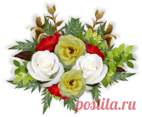 Цветы PNG