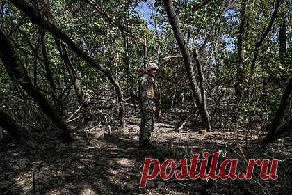 Стало известно о больших потерях ВСУ на херсонском направлении. Вооруженные силы Украины (ВСУ) несут большие потери на херсонском направлении. Об этом сообщил замглавы Херсонской области Кирилл Стремоусов. По его словам, ситуация на линии разграничения остается без изменения, однако украинская армия несет большие потери в силе и технике.