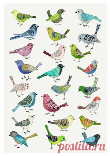Sångfågel - ett grafiskt blad av Anna Handell|NOA Gallery