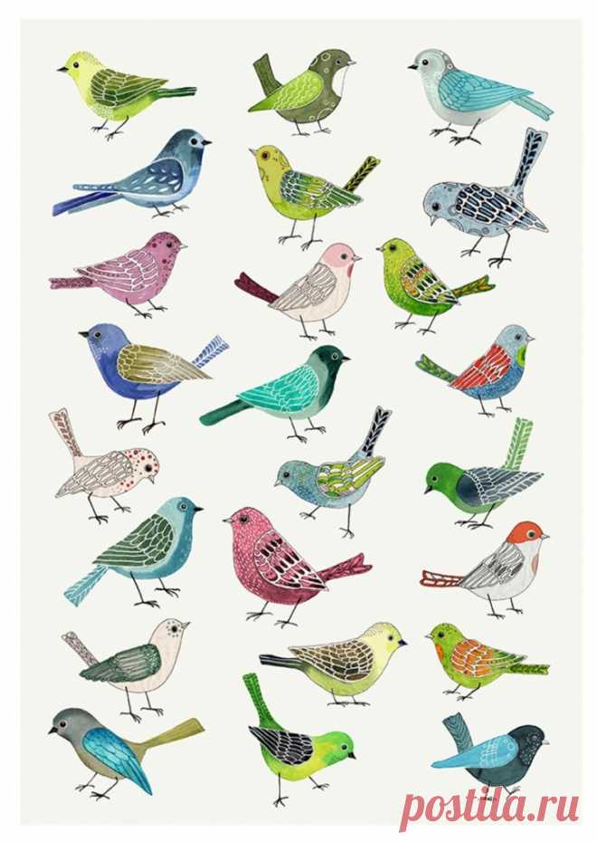 Sångfågel - ett grafiskt blad av Anna Handell|NOA Gallery