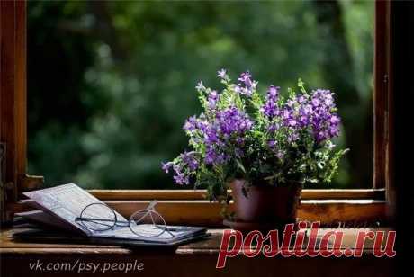 Фотографии на стене сообщества | 32 819 фотографий | ВКонтакте