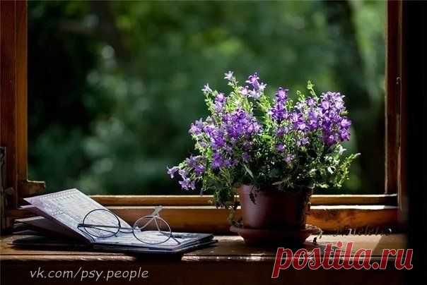 Фотографии на стене сообщества | 32 819 фотографий | ВКонтакте