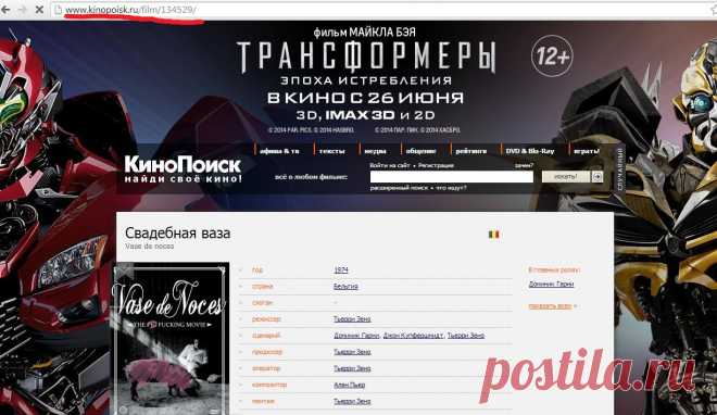 Лайфхак по пиратству / Surfingbird - все, что интересно тебе