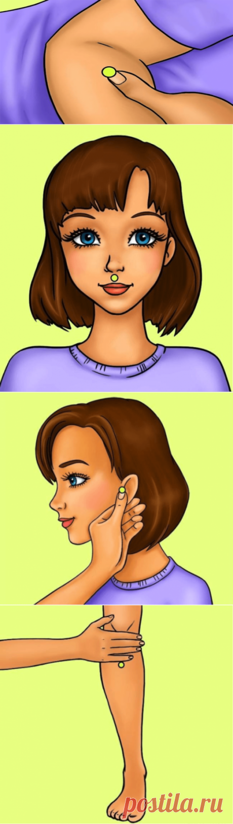 4 точки, массаж которых ускорит обмен веществ Так если регулярно массировать нижеперечисленные 4 точки, можно ускорить метаболизм, улучшить общее состояние здоровья, сжечь лишний жир и увеличить свои энергетические уровни.— ledidiva