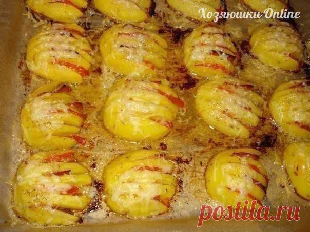 Картофельные ракушки | Хозяин и Хозяюшка
