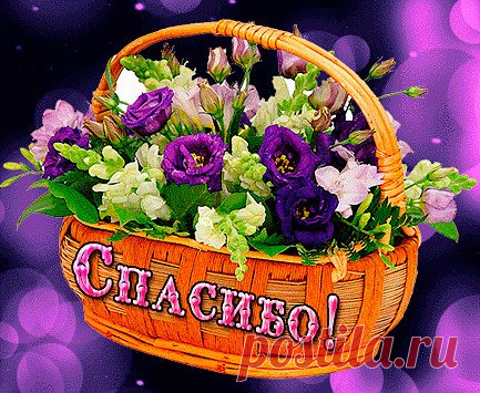 (53) Одноклассники