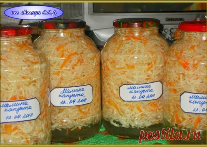 Капуста  
