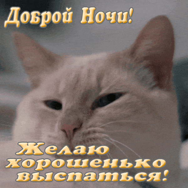 Доброй ночи, сладких снов.
Скажу тебе я пару слов:
Весь сон твой будет пусть лучист,
А звездный свет — прекрасен, чист.