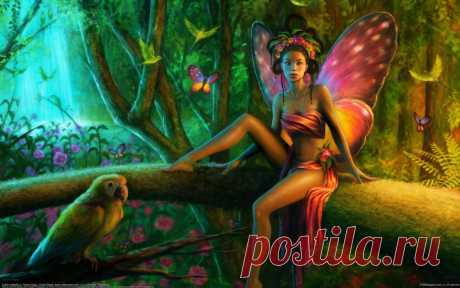 Фея - 60 фото - картинки и рисунки: скачать бесплатно