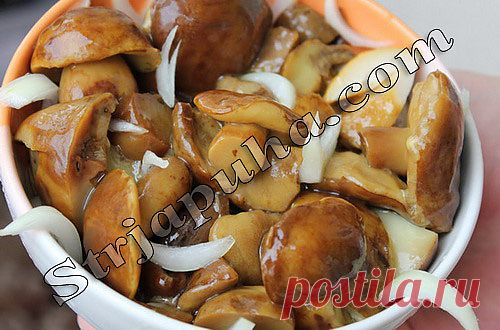 Грибы на зиму маринованные. Польский гриб маринованный