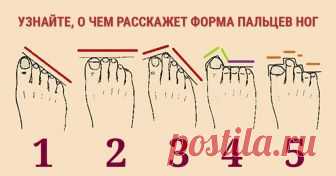 О чем расскажет форма пальцев ног Оказывается, форма пальцев ног может многое рассказать о человеке. Узнайте определенные закономерности, и научитесь лучше разбираться в людях