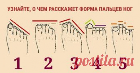 О чем расскажет форма пальцев ног Оказывается, форма пальцев ног может многое рассказать о человеке. Узнайте определенные закономерности, и научитесь лучше разбираться в людях