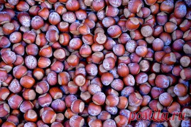 10 продуктов, которые сохранят вашу молодость