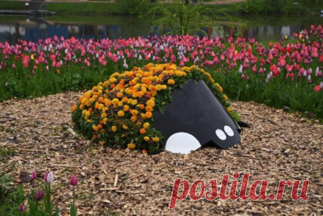 На фестивале много интересных арт-объектов. Присмотритесь к ним - получатся хорошие фото И, конечно, полюбуйтесь множеством тюльпанов - они прекрасны даже в дождливую погоду