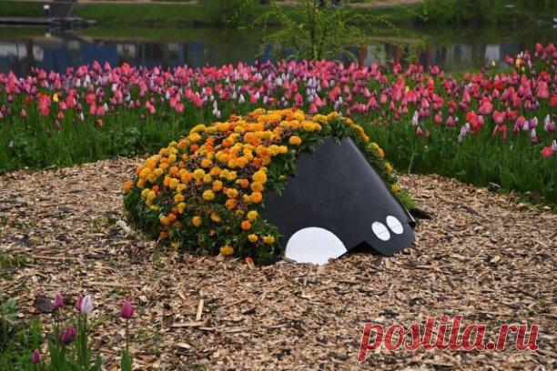 На фестивале много интересных арт-объектов. Присмотритесь к ним - получатся хорошие фото И, конечно, полюбуйтесь множеством тюльпанов - они прекрасны даже в дождливую погоду