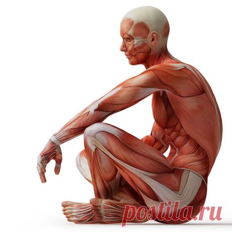 КАК улучшить работу почек: советы китайской медицины
