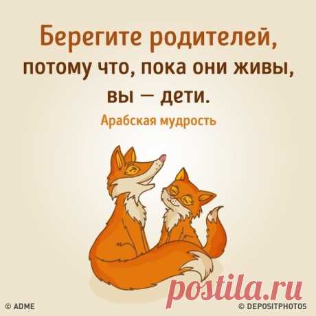 &quot;Век живи-век учись&quot;