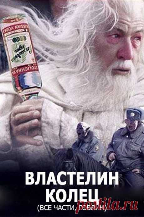 Все части "Властелина колец" в переводе невероятного ГОБЛИНА!  
Забирай на стену, чтобы не потерять  

1. Властелин колец: Братва и кольцо 
2. Властелин колец: Две сорванные башни 
3. Властелин колец: Возвращение бомжа