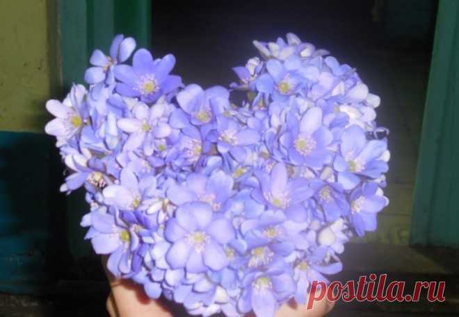 Нина Ворсо – Google+