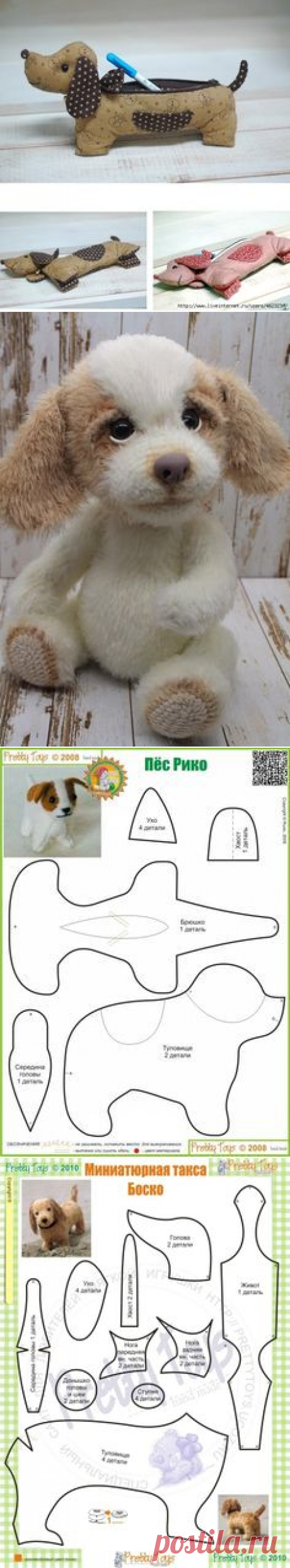 (37) СОБАЧКИ в Pinterest